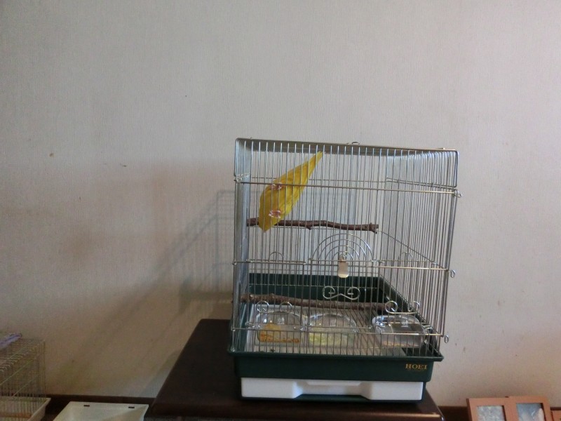 20141068.jpg