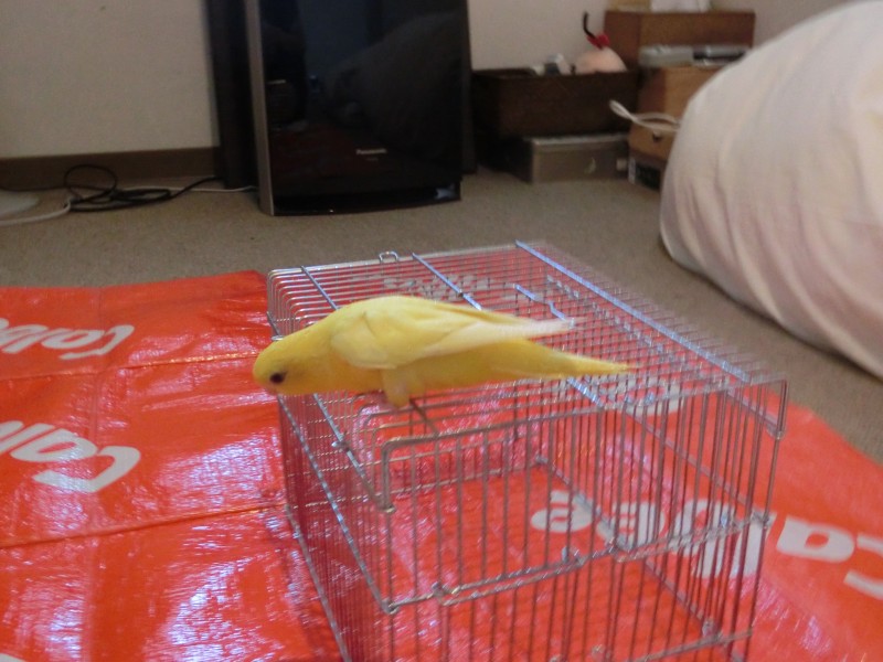 20141069.jpg