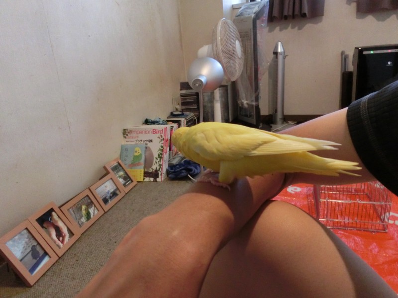 20149211.jpg