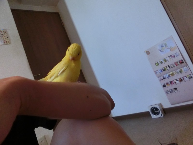 20149215.jpg