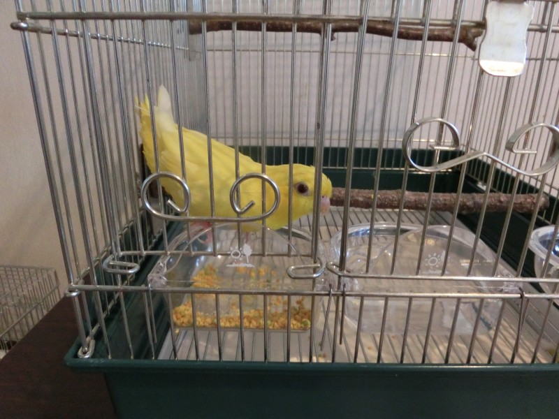20149271.jpg