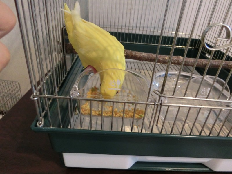 20149272.jpg