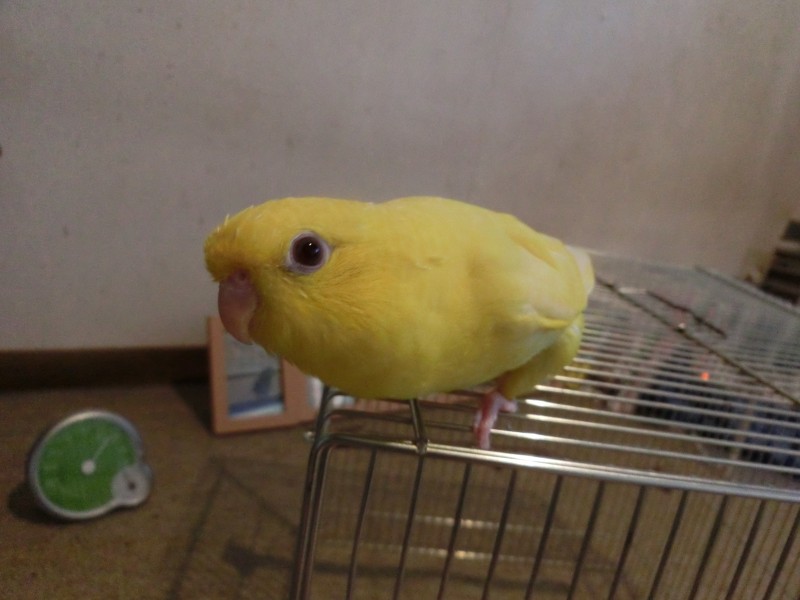 20149273.jpg