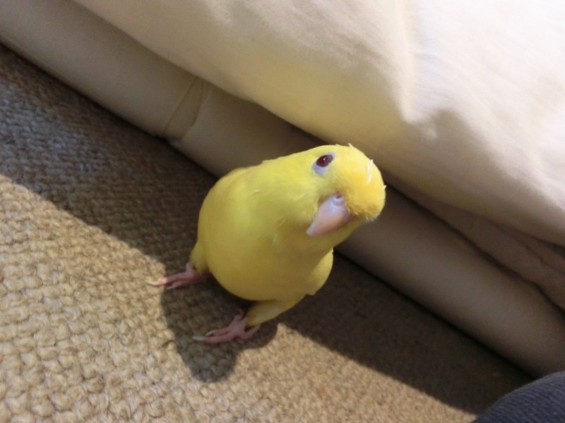 20149282.jpg