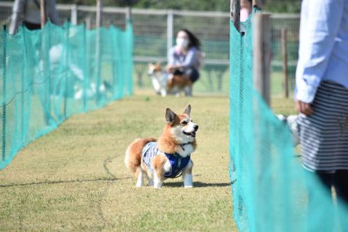 DSC_0354_con.jpg