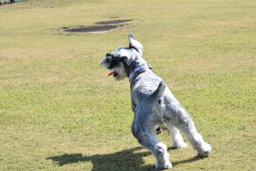 DSC_0407_141011_con.jpg