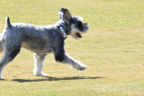 DSC_0420_141011_con.jpg