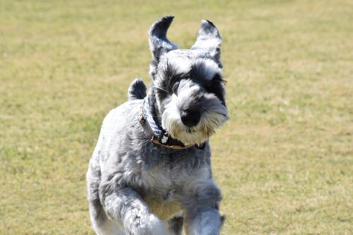 DSC_0432_141011_con.jpg