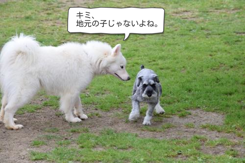 DSC_0511_con_T.png
