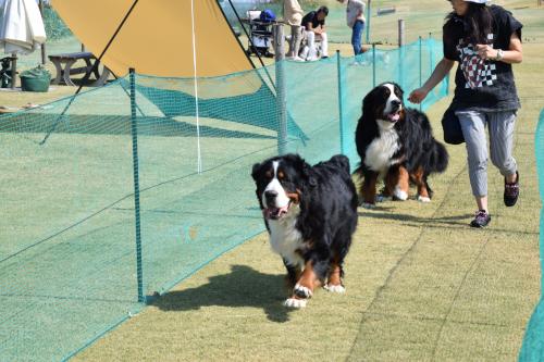DSC_0512_con.jpg