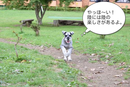 DSC_0518_con_T.png