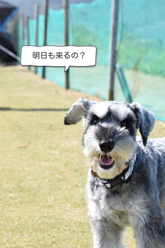 DSC_0561_con_Text.png