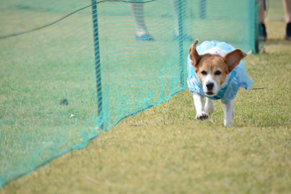 DSC_0740_141012_con.jpg