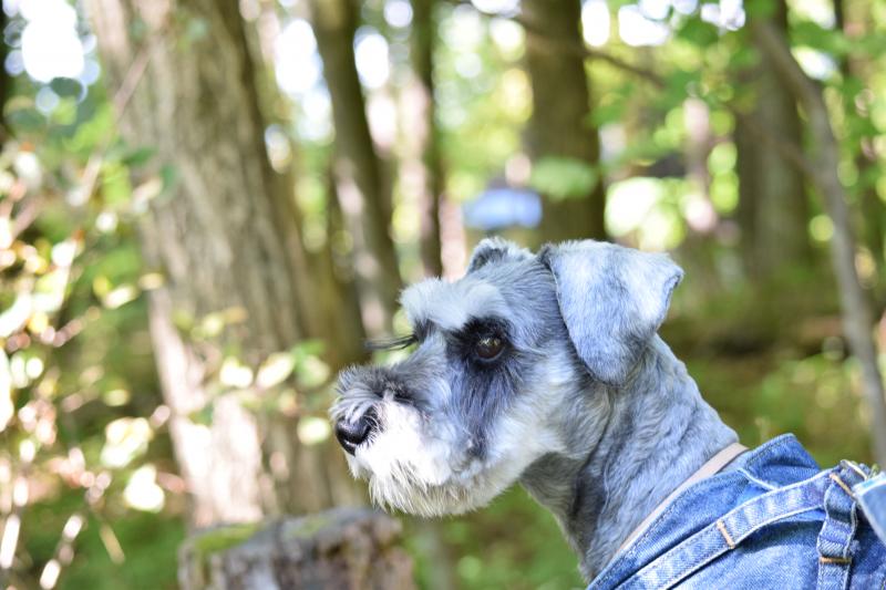 DSC_0873_con.jpg