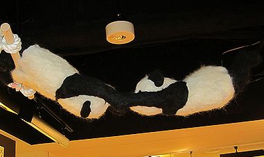 IMG2011_09_0823.jpg