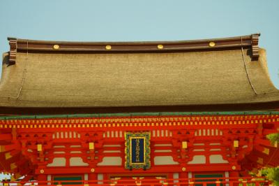 DSC02292.jpg