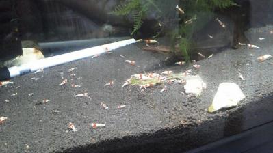 20110920222341.jpg