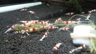 20110920222354.jpg