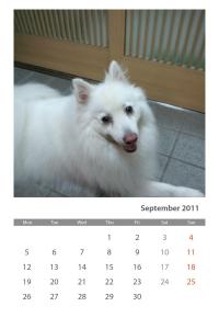 Photofunia Calendar#2L2CIBUNI8oGhx_VrYRLVg