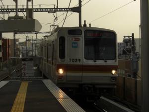 CIMG7559_convert_20130311145223.jpg