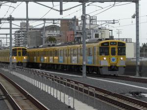 CIMG7635_convert_20130314231028.jpg