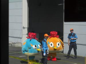 CIMG8778_convert_20130610212052.jpg