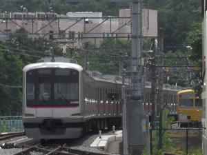 CIMG8802_convert_20130610212404.jpg