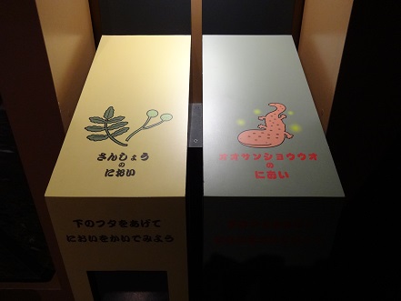 山椒と大山椒魚