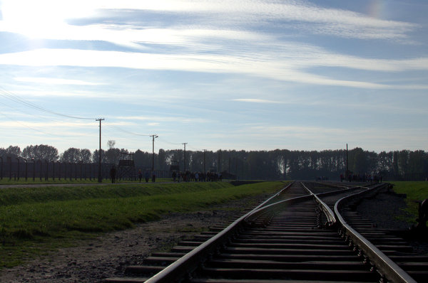 DSC_7169.jpg
