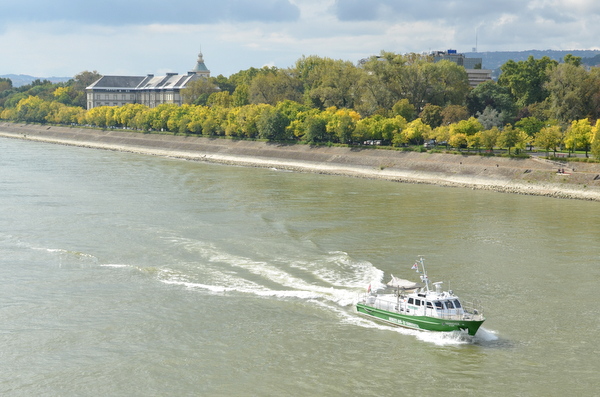 DSC_8006.jpg