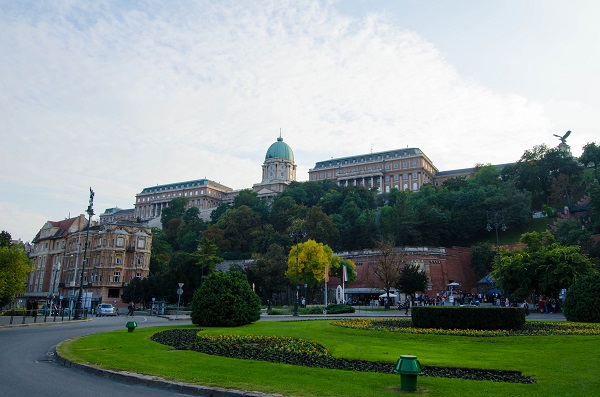 DSC_8215.jpg