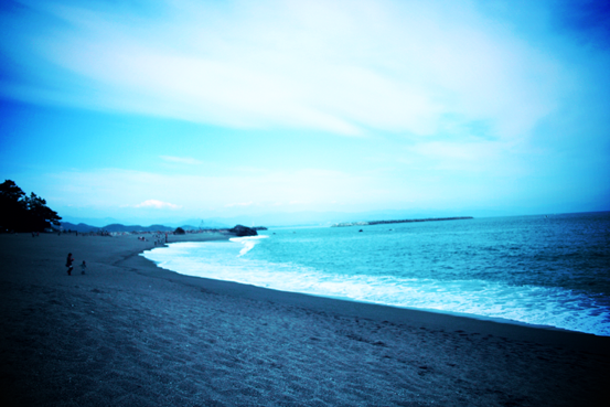 桂浜