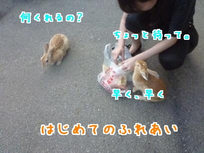 初日4