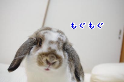 おいしい口1