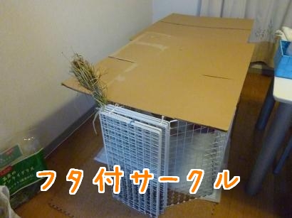 脱走4