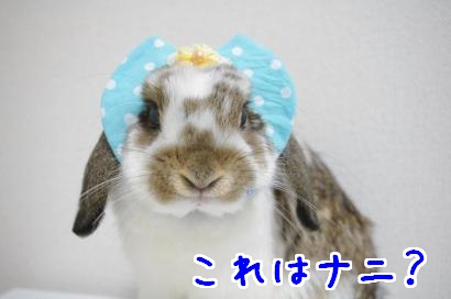 まるちゃん風1