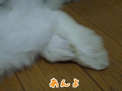 あんよ