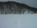 P1030246.jpg