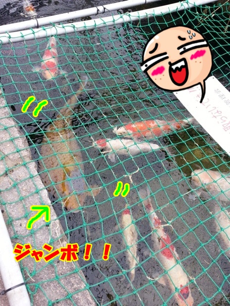 20130322_151321.jpg