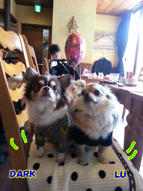 20130323_135050.jpg