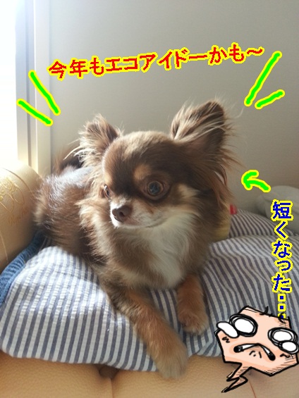 20130609_124153.jpg
