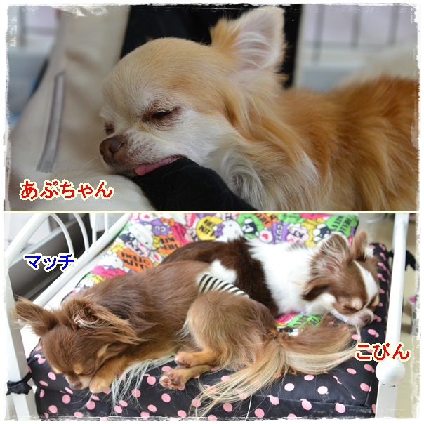 3page_20130623160523.jpg