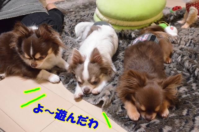 DSC_4882.jpg