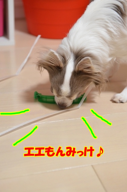 DSC_4920.jpg