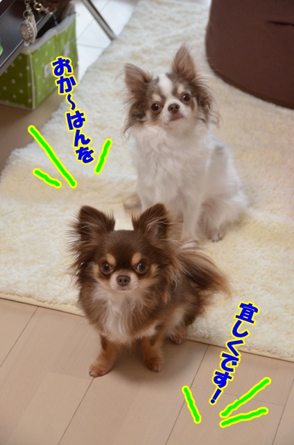 DSC_5048.jpg