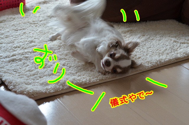 DSC_5564_20130421204240.jpg
