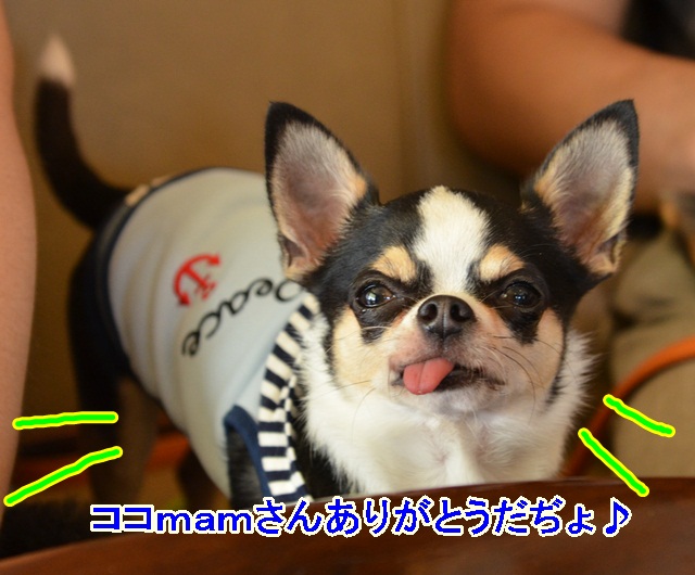 DSC_7478.jpg