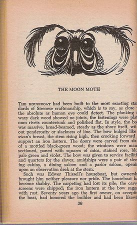2011-9-23 (Moon Moth)