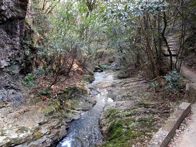 山道