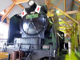 D51